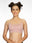Padded Wirefree Medium Coverage Modal Spandex T-Shirt Bra with Adjustable Straps and U-Back – AURA