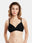 Non Padded Wirefree Medium Coverage Polyester Cotton Everyday Bra with Adjustable Straps – OMANIA