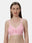 Women’s Non-Padded Wirefree Medium Coverage Bra with Detachable Straps and Wide Underbust Band – BRITNEY NX