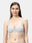 Comfortable Lightly Padded Non-Wired T-shirt Bra with Moderate Coverage and Adjustable Straps - Coco