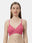 Women's Regular Non Padded Bra - Felong