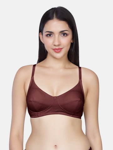 Maroon / B / 42