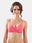 Non-Padded-Non-Wired-Seamless-Bra-with-Adjustable-Straps-and-Medium-Coverage-in-Cotton-Polyester-Blend-Steem-Carrot-Front