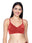 Women Full Coverage Non Padded Everyday Bra with Adjustable Straps & Wide Waistband- Penelop